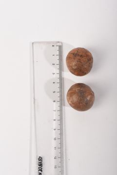 18-20mm No. 4 macadamia nuts in shell