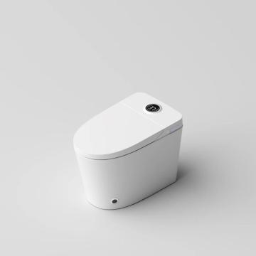 Modern Intelligent Bathroom Toilet with Remote Control