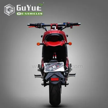 2 Seats Two Wheel Electric Motorcycle