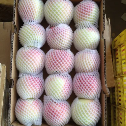 fresh chinese apple fruit gala apple red star apple