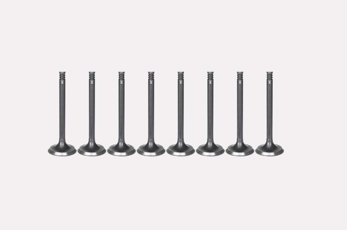 21026535 Intake Valve for Engine