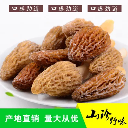 Wholesale Chinese Hot Product Morel