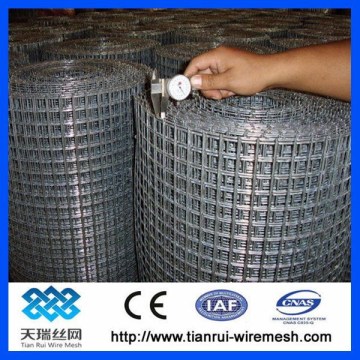 Hot dipped/electro galvanized welded wire mesh (factory manufacture )