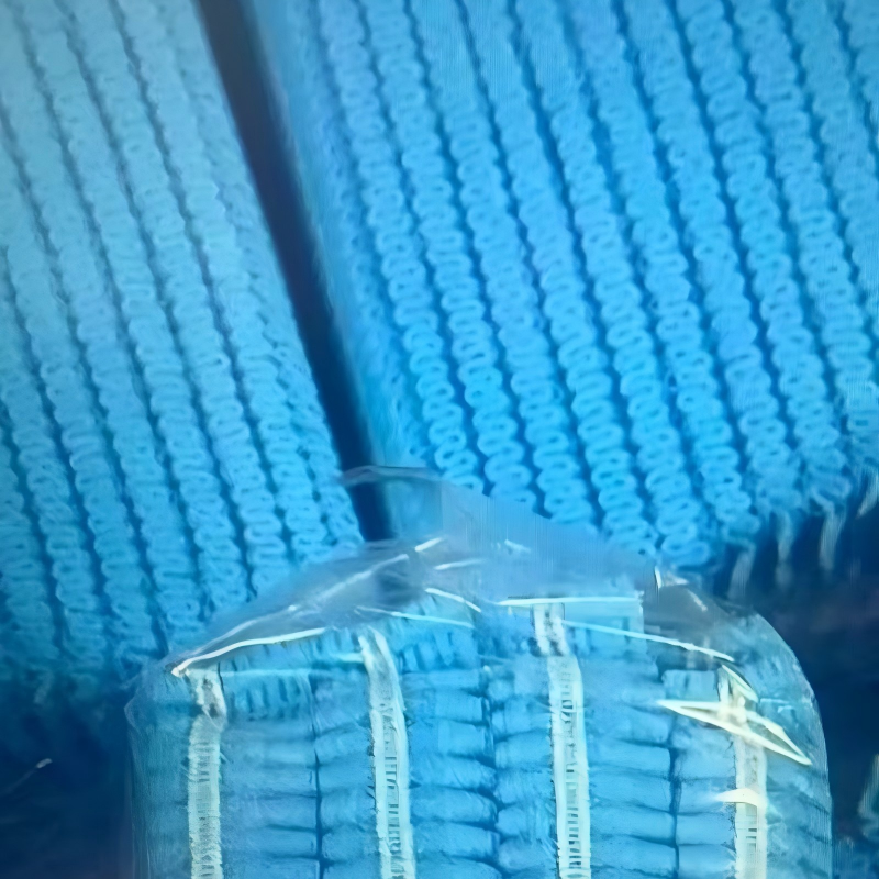disposable beauty cap