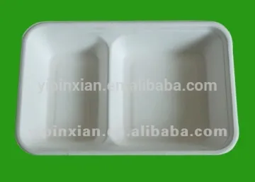High quality food packaging with 2 compartments food packing tray