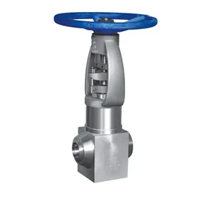 Forged steel power station globe valve