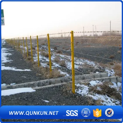 Galvanize barbed wire fence