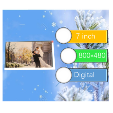 7 Inch TFT LCD 800x480 Touch Screen Display with Digital Interface