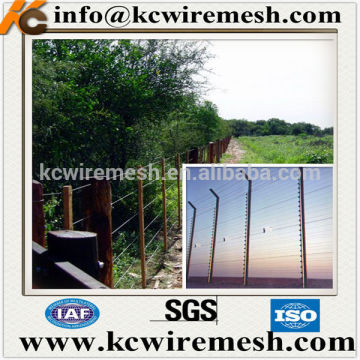 Galvanized Elliptical Wire For Cattle Fence In South America .