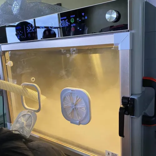 Pet ICU Incubator with Temperature Self-Adaption Adjustment System