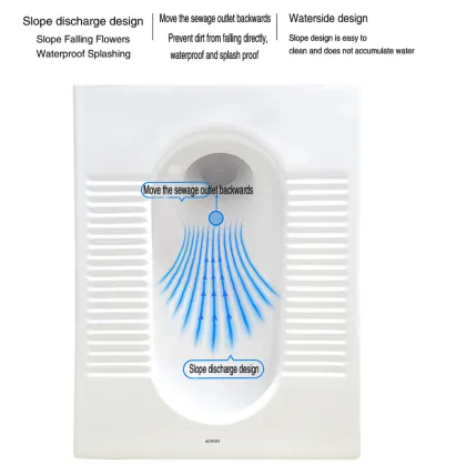 Evolution and development of squatting potty
