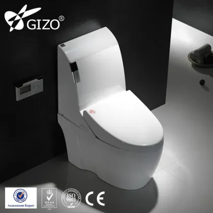 Intelligent water closet squat toilet