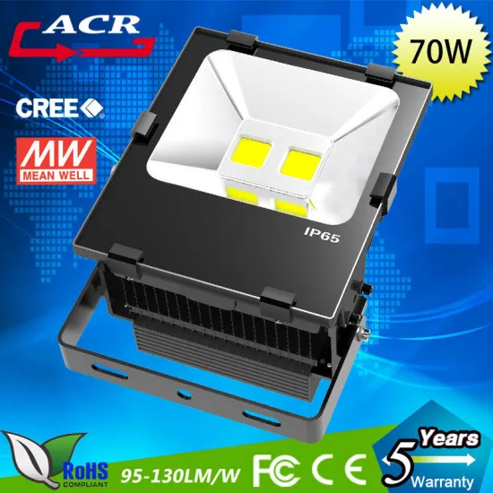 Brightest Outdoor ip65 high lumen led flood light 100w
