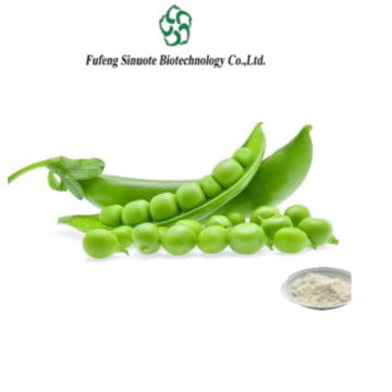 High-Purity Pea Protein Isolate for Fitness Enthusiasts