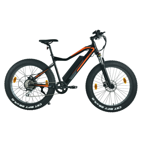 XY-CHAMPION Hybrid 29 Zoll Elektrofahrrad