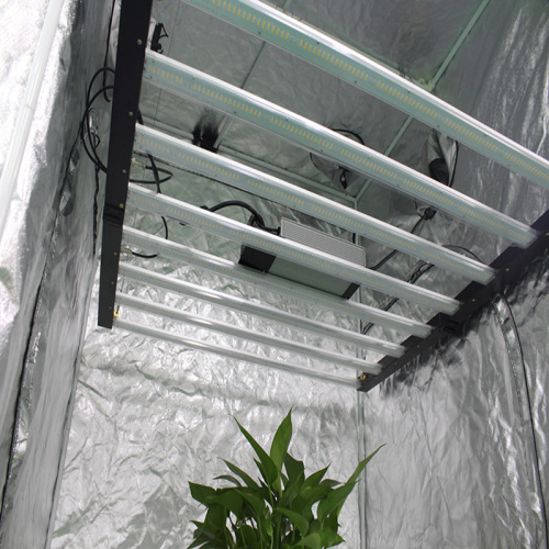 800W Foldable Grow Lights For Outdoor Plants