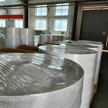 Thermal label paper giant thermal label paper