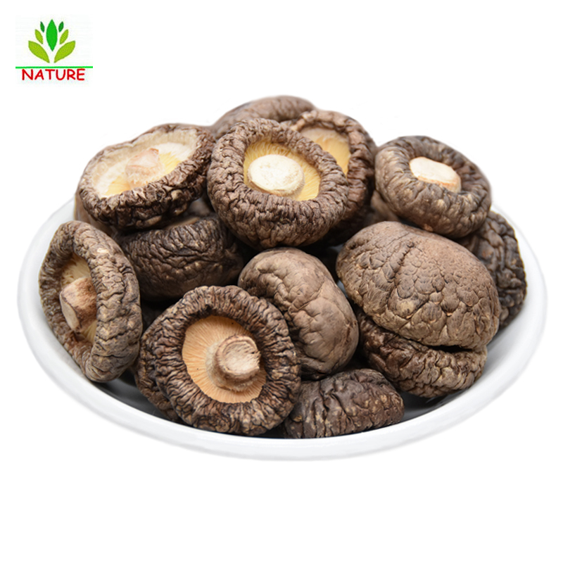 Organic Top Grade Dried Shiitake Chinese Mushroom