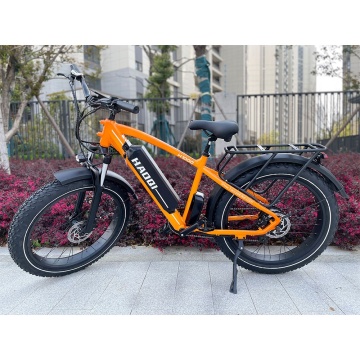 Hot Sale: 750W Alloy Aluminum New Model Ebike - Mountain Bicycle with 26 Inch Fat Tire for Adults