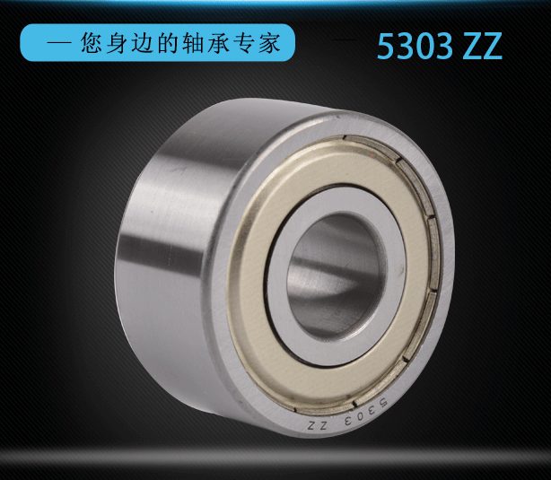 Double Row Angular Contact Ball Bearing 5303 ZZ