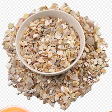 Shell Fragments Supplies: Crafts & Decorative Materials