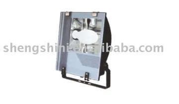 Flood lights with electrodeless lamp