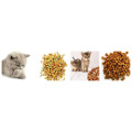 Dog food equipment dog food machine price