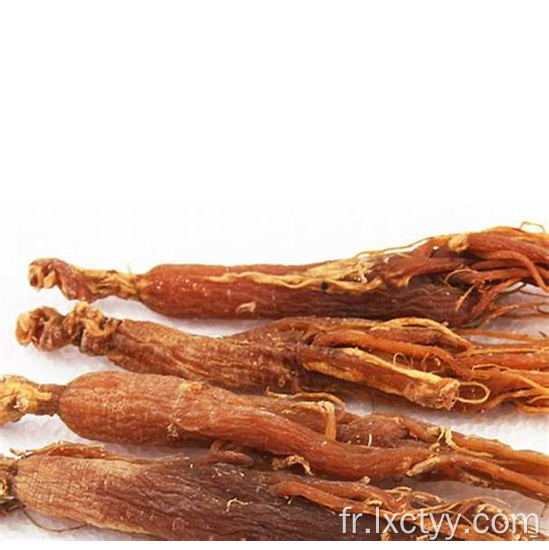 tranches de ginseng rouge coréen miellées