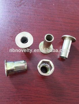 Blind Rivet Nut
