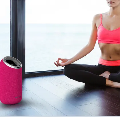 JBI Bluetooth Loudspeaker Audio Equipment Enclosure Design