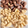 Delicious 500g Pine Nuts