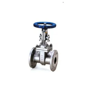 JIS10k Stainless Steel Gate Valve