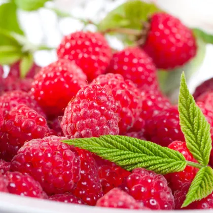 Raspberry Extract Fruit Powder