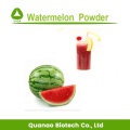 Freeze Dried Watermelon Fruit Powder