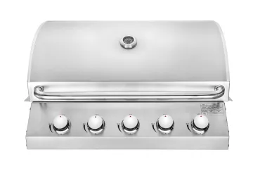 builtin 5 burner bbq grill