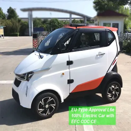 4 Wheels 2 Seats Electric Racing Car for Teenagers