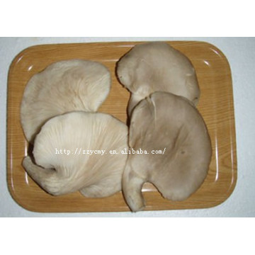 hot food canned abalone mushrooms