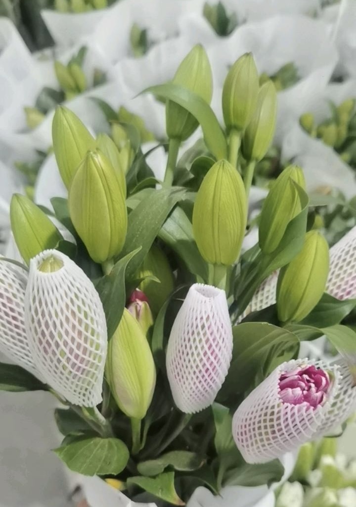 Xiara Double Spray Lily
