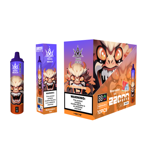 Bulk Bang Beach Vape with 22000 Puffs