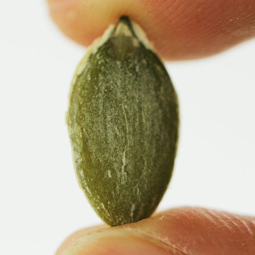 cooking roasted pumpkin seeds in shell