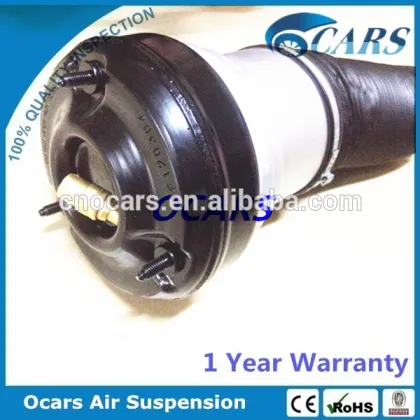 Air Suspension Strut for Mercedes W220, 2203202438,2203205113