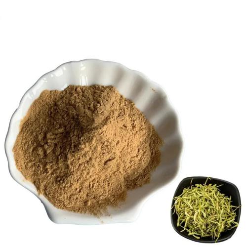Lonicera Japonica Honeysuckle Extract Chlorogenic Acid