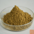 Extracto de hoja de oliva hidroxitosol 20%