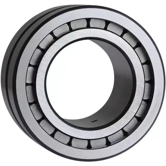 SL183004/SL183005/SL183006/SL183007/SL183008 Double Row Cylindrical Roller Bearings with Stop