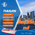 Forwarder Sea Freight From Tianjin To Auckland