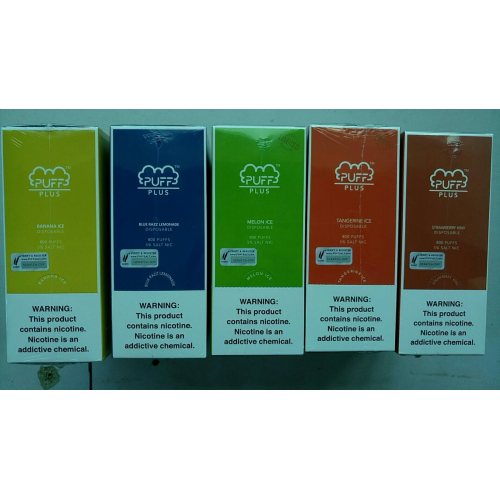 Disposable 800 Puffs E-Cig Disposable Vape Puff Plus