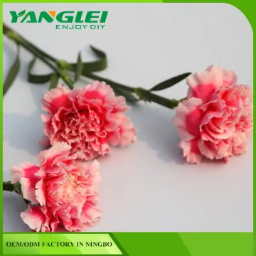 good price 3pcs set fondant moulds Carnation shaped plunger cutter