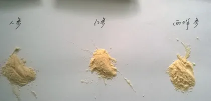 Natural Panax Ginseng Extract