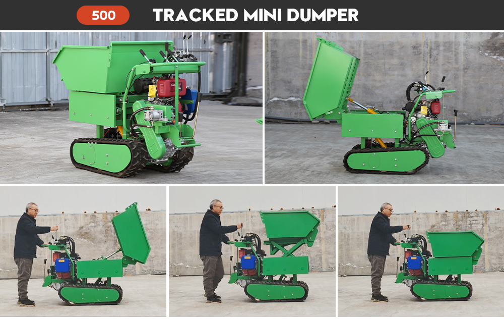 Nuoman Dump Truck Details Page