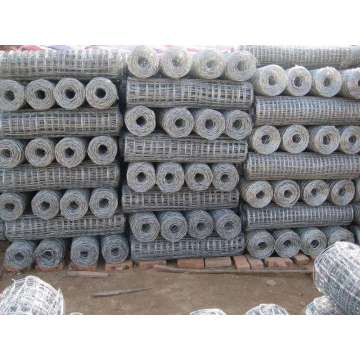 wire mesh dilas galvanis yang dicelup panas